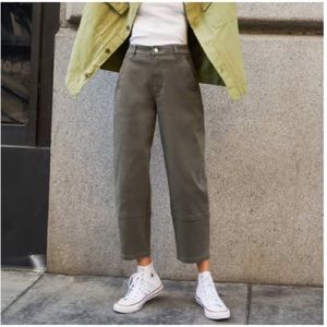 Everlane Utility Barrel Pant in Pewter Green